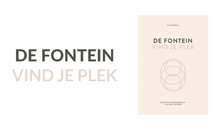 Het Boek De Fontein Vind Je Plek Van Els Van Steijn